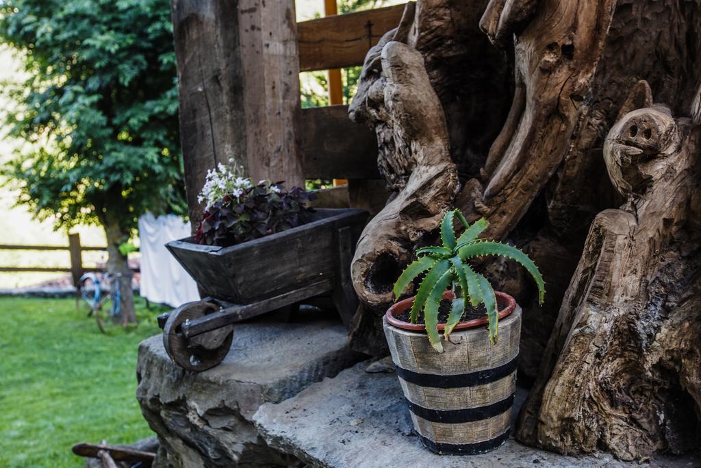 La Posada De Cucayo Dobres Екстериор снимка