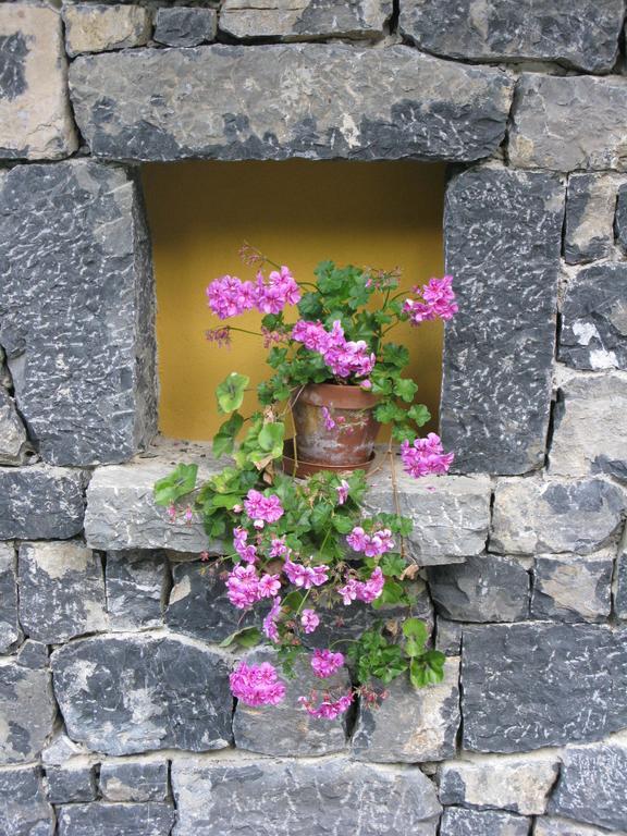 La Posada De Cucayo Dobres Екстериор снимка